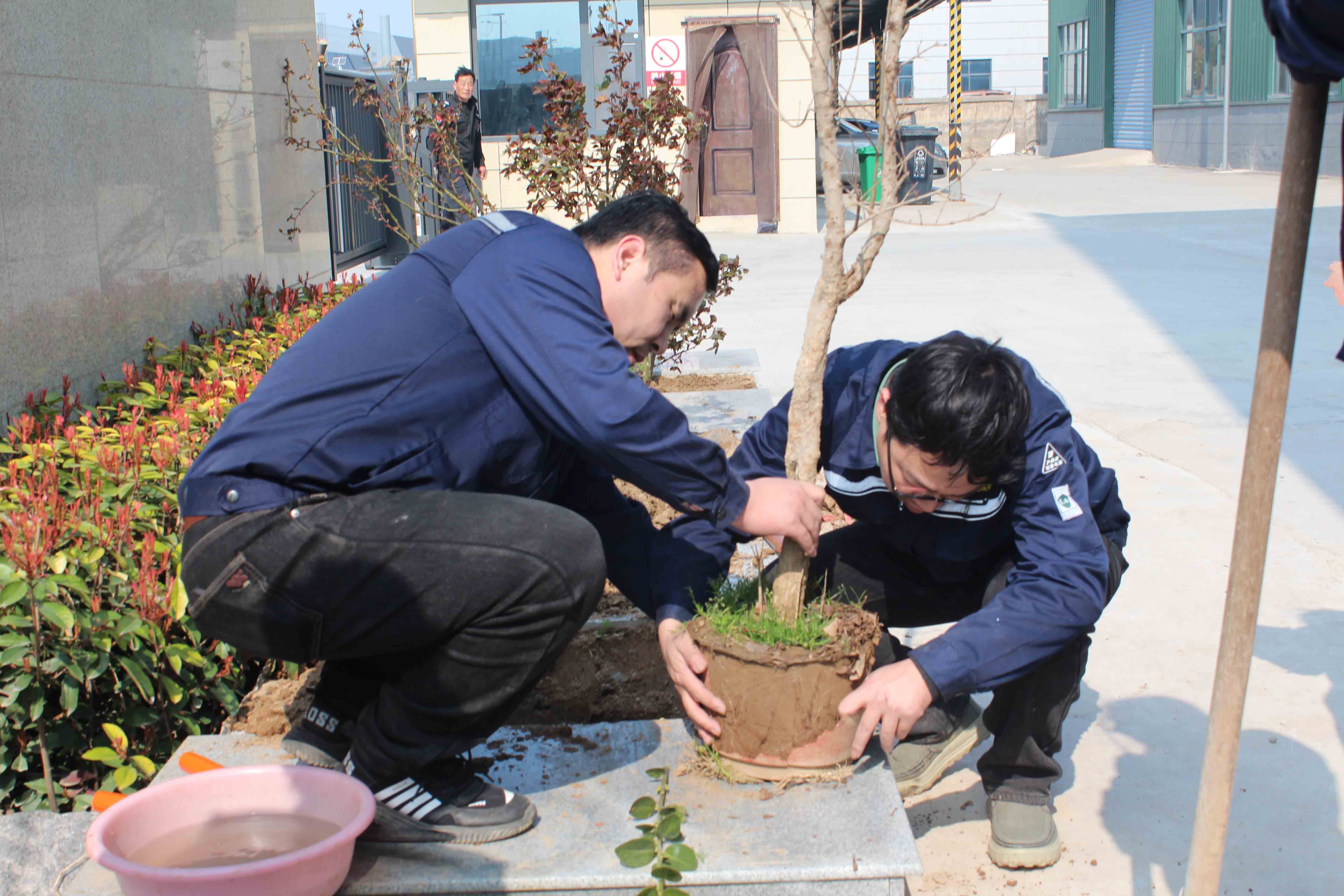 植樹.jpg